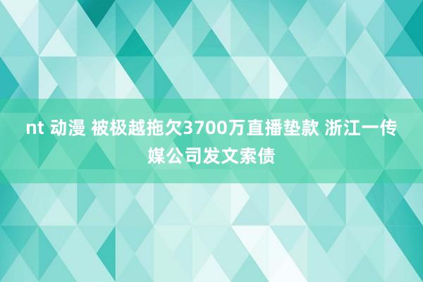 nt 动漫 被极越拖欠3700万直播垫款 浙江一传媒公司发文索债