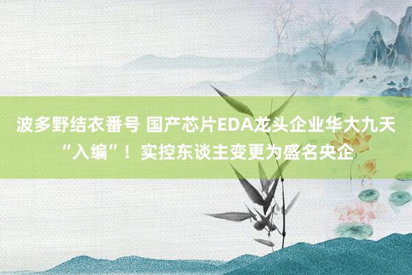 波多野结衣番号 国产芯片EDA龙头企业华大九天“入编”！实控东谈主变更为盛名央企