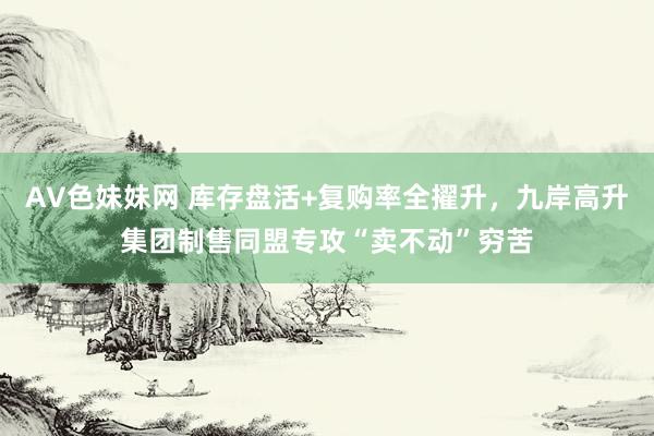 AV色妹妹网 库存盘活+复购率全擢升，九岸高升集团制售同盟专攻“卖不动”穷苦