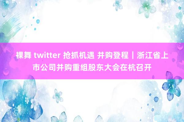 裸舞 twitter 抢抓机遇 并购登程｜浙江省上市公司并购重组股东大会在杭召开