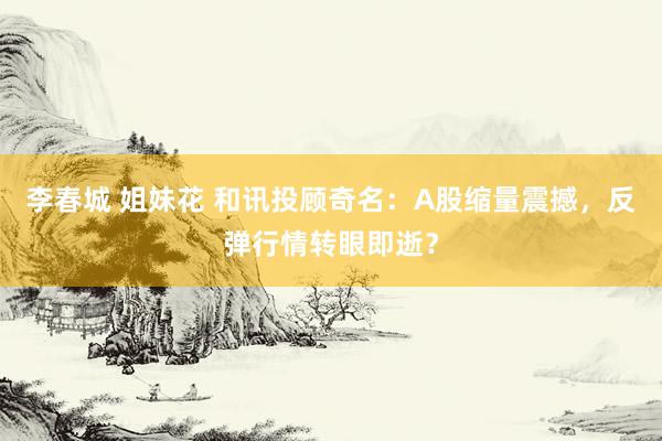 李春城 姐妹花 和讯投顾奇名：A股缩量震撼，反弹行情转眼即逝？