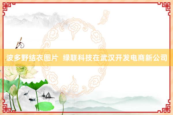 波多野结衣图片  绿联科技在武汉开发电商新公司