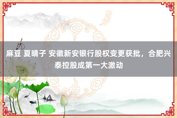 麻豆 夏晴子 安徽新安银行股权变更获批，合肥兴泰控股成第一大激动