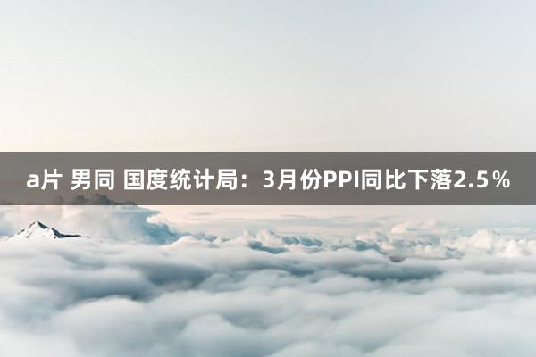 a片 男同 国度统计局：3月份PPI同比下落2.5％