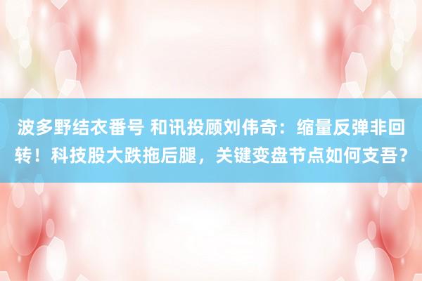 波多野结衣番号 和讯投顾刘伟奇：缩量反弹非回转！科技股大跌拖后腿，关键变盘节点如何支吾？